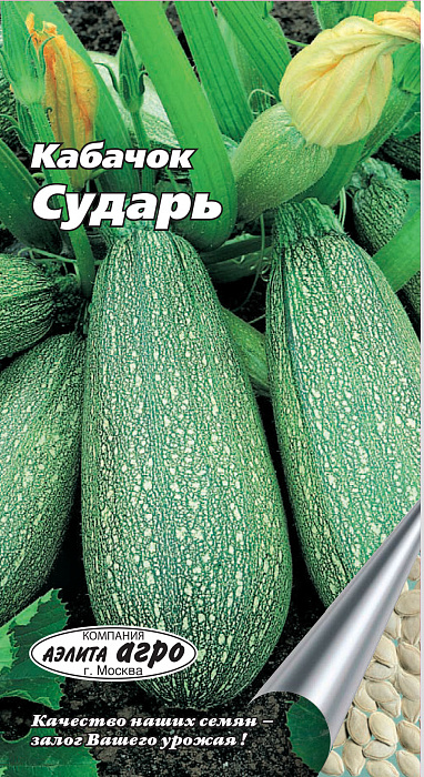 Кабачок Сударь фото Кабачок Сударь 